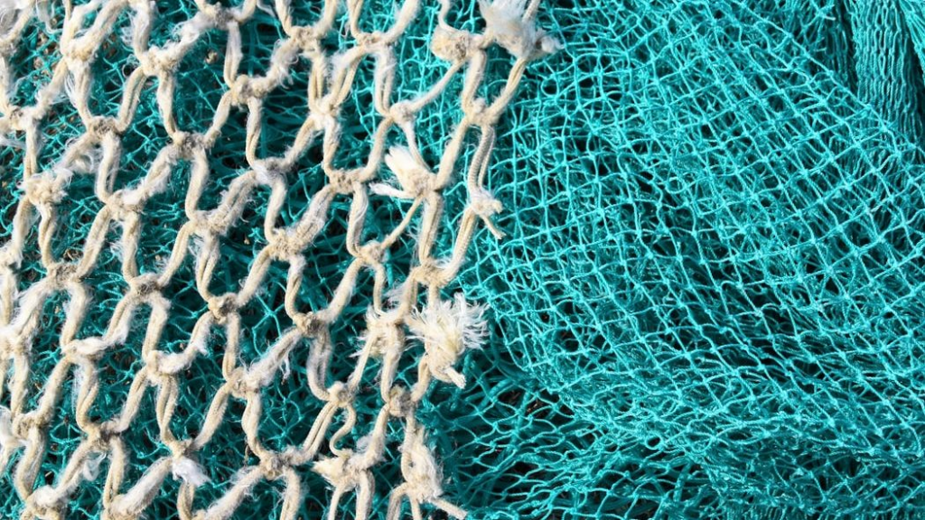 Bio-Inspired Nets