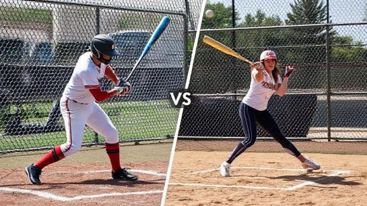 Baseball- und Softball-Schlagnetze